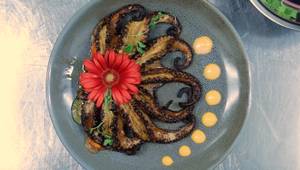 Grilled Mexican Octopus Recipe: A Sakora Gastronomy Delight