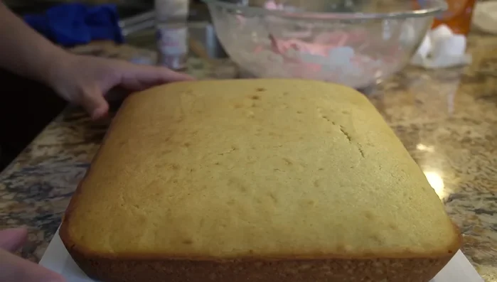 Frost the cooled cake with the pink frosting.
