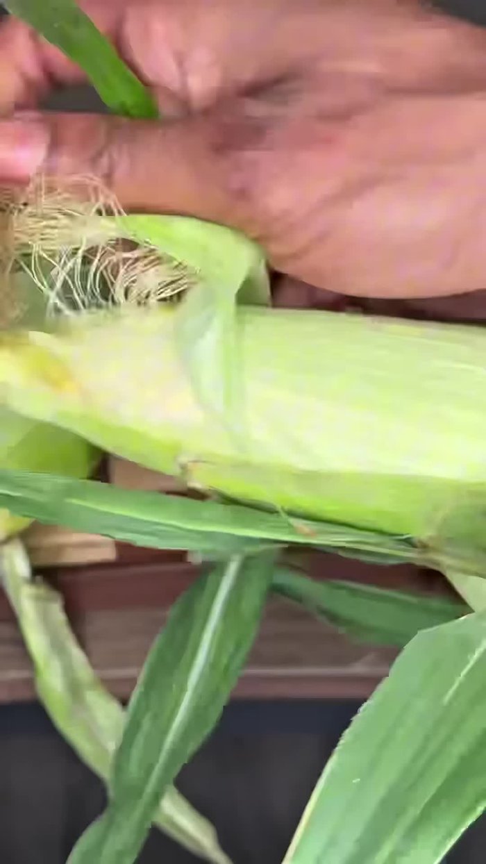 Peel the fresh corn, removing the stringy parts.