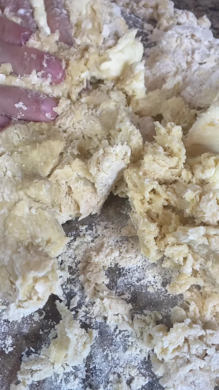 Form the dough into a ball, place it in a container, add vegetable shortening, cover with plastic, and let it rise until doubled in size in a warm place.