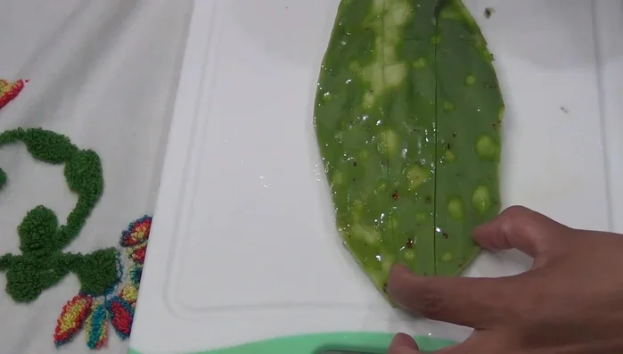 Prepare the nopales: Cut the nopales into desired shape, salt and grill or fry them (536.26).