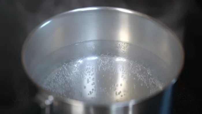 In a pot of boiling water, add Morita chiles to hydrate (5-6 minutes).