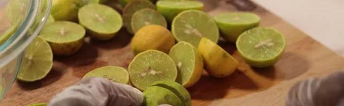 Preserve lime juice (optional): Juice key limes and store in the fridge for up to a month.