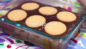Delicious Chocolate Maria Cookie Dessert Recipe