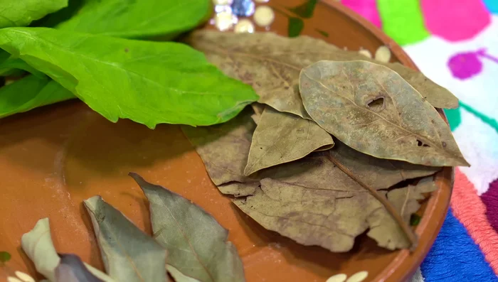 Toast avocado leaves on a comal (or substitute with epazote or Mexican bay leaves).