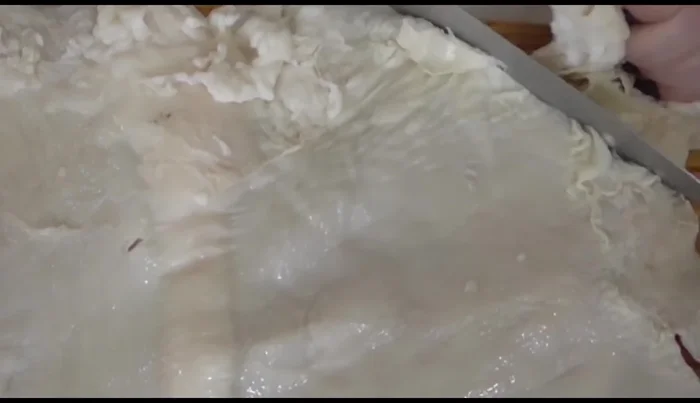 Cut the precooked beef belly into large pieces. The belly shrinks significantly during cooking.