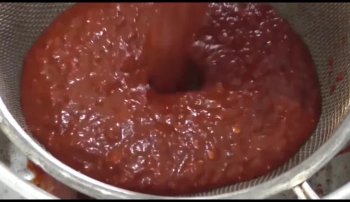 Strain the chili mixture to remove seeds and solids.