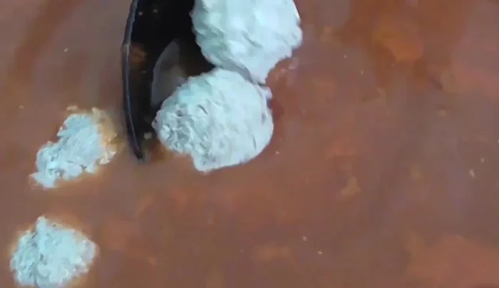 Add the cooked meatballs to the tomato broth and simmer for another 5 minutes.