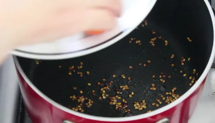 Remove the chilies and add the remaining spices (tomatoes, onions, etc.) to the pot. Fry for about 10 minutes.