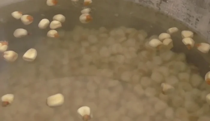 Combine ingredients: In a large pot with a quart of water, add the cleaned corn and the cleaned meat, bones, and head.