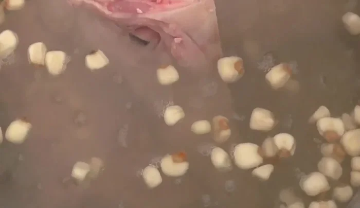 Add salt: Once the corn is fully cooked and open, add salt to taste.