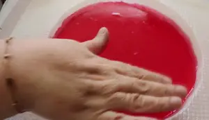 Three Milk Peach Gelatin Dessert: A Delicious Mexican Treat