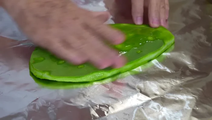 Assemble the nopales: Place a nopal slice on aluminum foil. Add a splash of oil and spread. Season with the prepared spice mixture. Top with a slice of cheese, tomato slices, onion rings, and jalapeño rings. Season again with the spice mixture. Add epazote leaves.